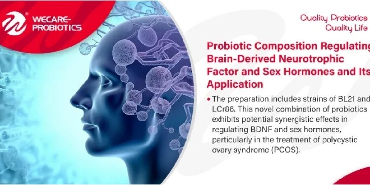 Probiotic Composition Regulating Brain-Derived Neurotrophic Factor and Sex Hormones and Its Application