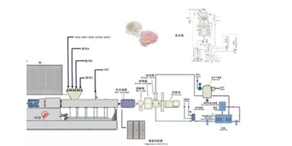 Optimizing Your Production with Advanced EPP Particle Line Technology